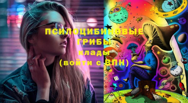 ПСИЛОЦИБИНОВЫЕ ГРИБЫ Новокубанск