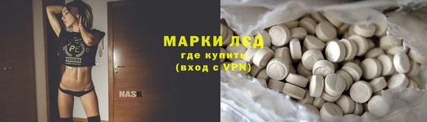 индика Армянск