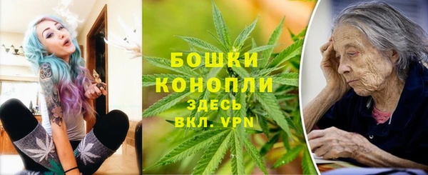 индика Армянск